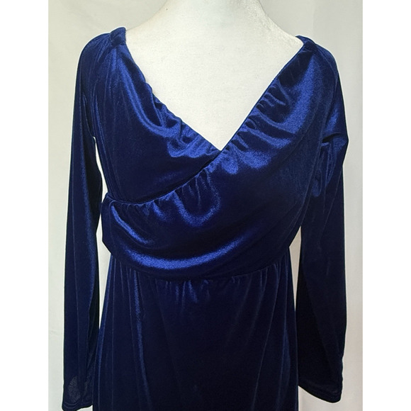 Womens Velvet Victorian Festival Maxi Dress Size M Renfair Whimsygoth Regal Glam - Picture 3 of 11